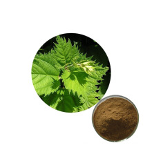 High Quality Natural Factory Supply Best Price Nettle Extract